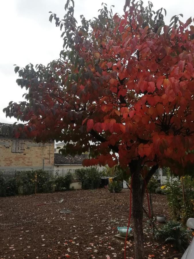 La Nuova Dimora B&B LʼAquila Dış mekan fotoğraf